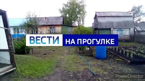 Гуляли вести
