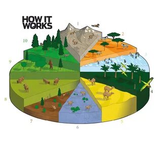 Our endangered planet