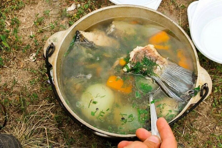Уха на костре. Уха из карпа на костре. Блюдо из головы рыбы. Уха из карпа на костре. Уха на костре.
