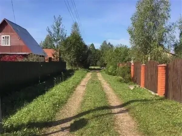 Дача СНТ Звездочка Талдомский район. СНТ Звёздочка 215 участок. СНТ Звездочка Мытищинский район. 119 Км Дубна. Снт звездочка купить