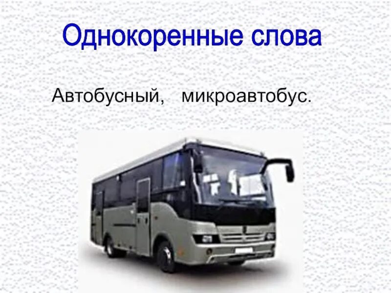 Маршрутка 1 текст. Слово автобус. Словарное слово автобус презентация. Работа со словарным словом автобус. Автобус однокоренные слова.