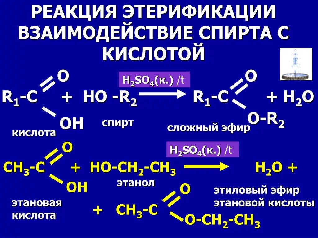 Этерификация спиртов. Взаимодействие спиртов с кислотами. Взаимодействие спиртов с органическими кислотами. Метан этиловый эфир