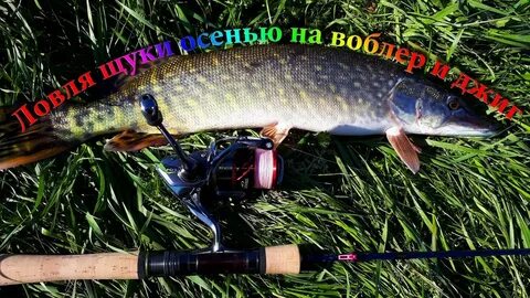 Рыбалка осенью на щуку видео