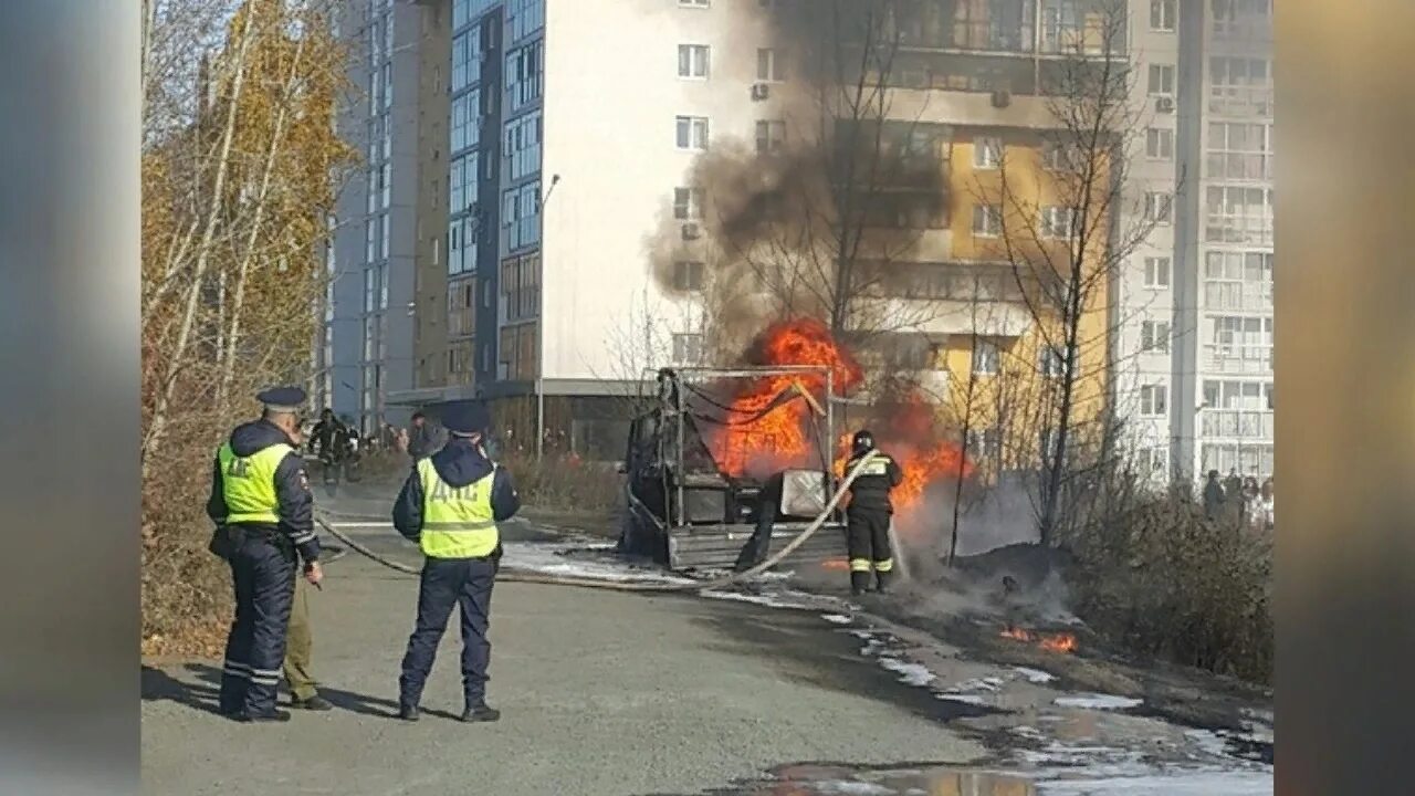 Пожар в Видном 11.03.2021. Пожар в аллее. Пожар на Тополиной аллее. Видное пожар сегодня.