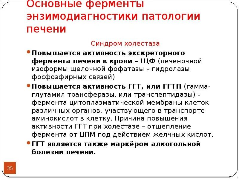 Основные ферменты энзимодиагностики патологии печени. Активность ГГТ. ГГТ фермент печени. Повышение ГГТ И ЩФ причины.