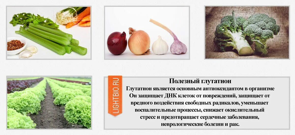 Глутатион где содержится в каких продуктах. Глутатион в продуктах. продукты богатые глутатионом. продукты содержащие глутатион. глутатион в пищевых продуктах.