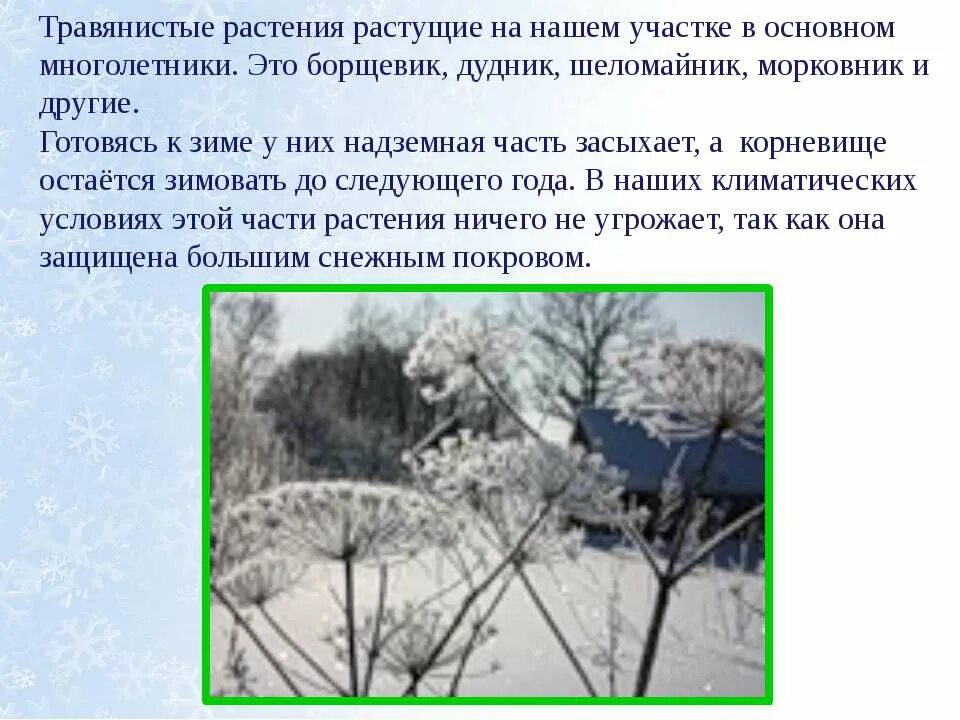 Запасает корм на зиму. Жизнь осенью и зимой 2 класс. Характерные признаки зимы. Растения и деревья зимой. Памятка охрана природы зимой.