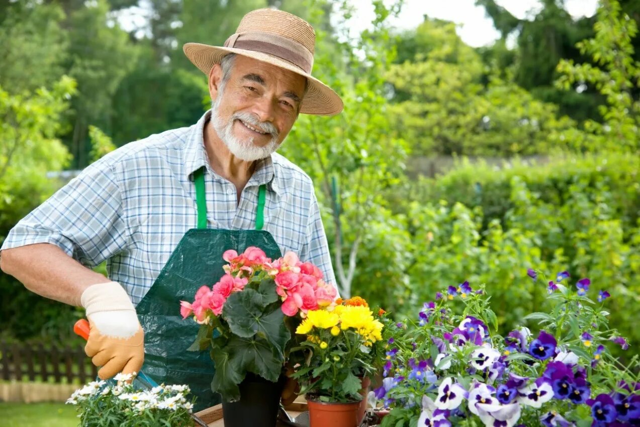 Какую работу выполняют люди профессии садовод. Садовник. Цветы для сада и огорода. Садовник с цветами.