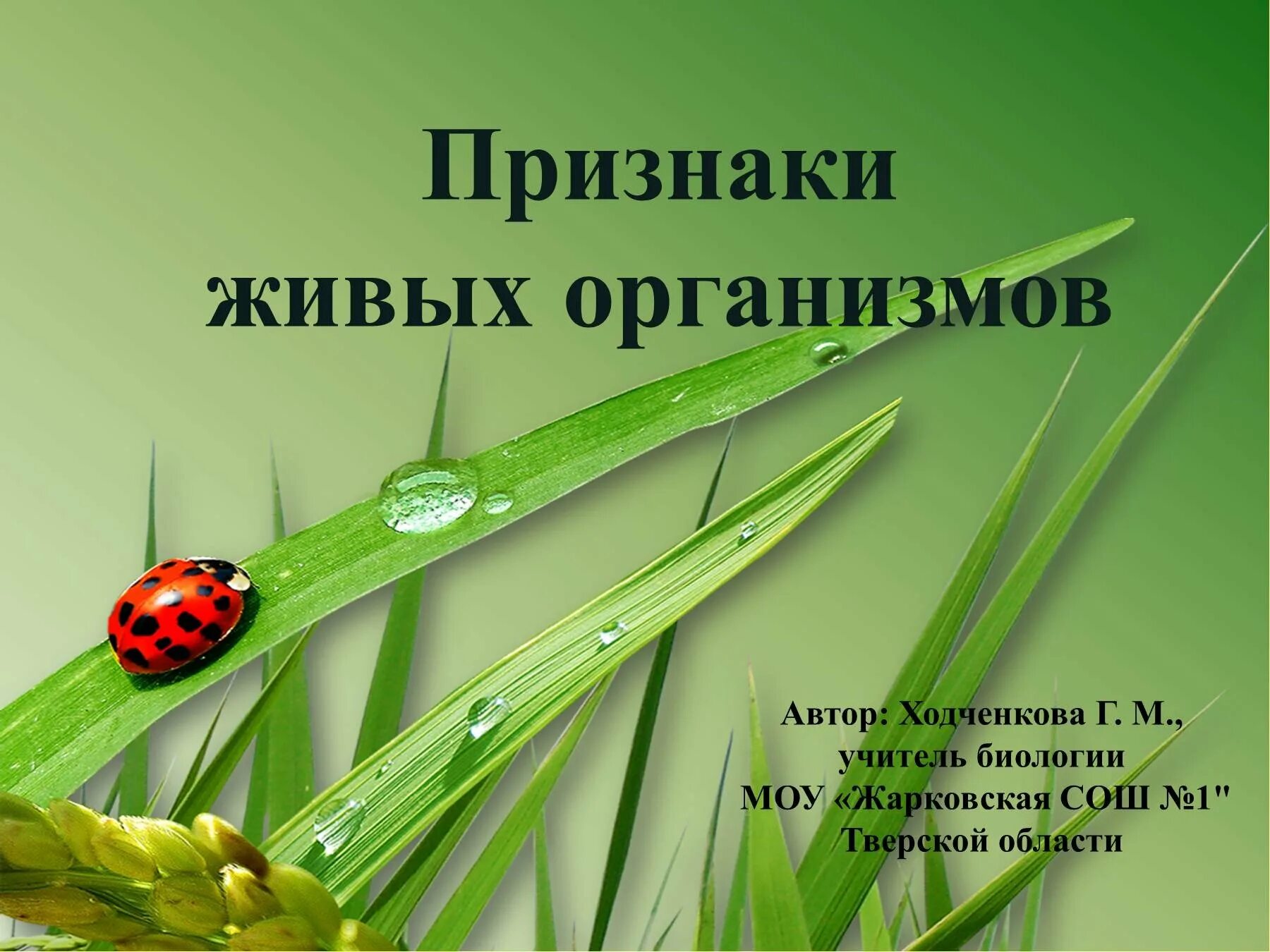 Примеры презентаций по биологии. Спасибо за внимание биология. насекомые-рекордсмены. конец презентации по биологии. спасибо за внимание растения.