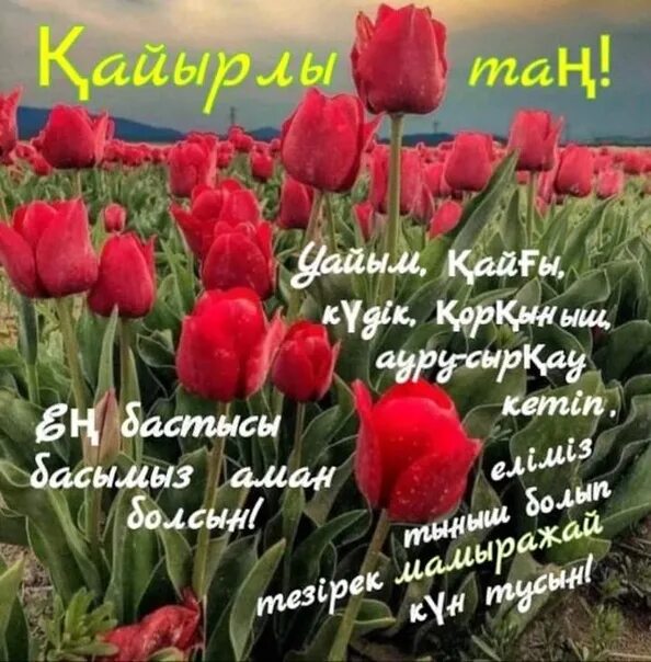 Кайырлы тан с пожеланиями. Кайырлы тан сарсенби. Сәрсенбі күн. Сәрсенбі күн. Сәрсенбі сәтті күн картинки.