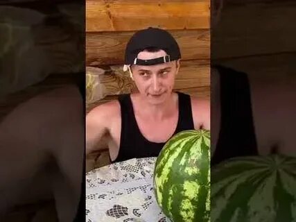 Шутки скажи арбуз твой папа