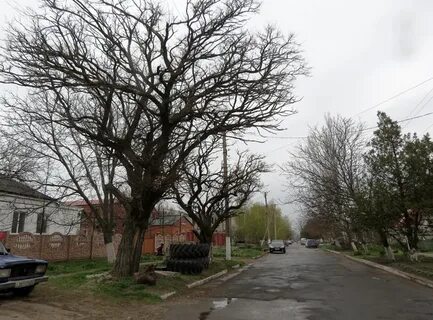 Прогноз погоды новоазовск