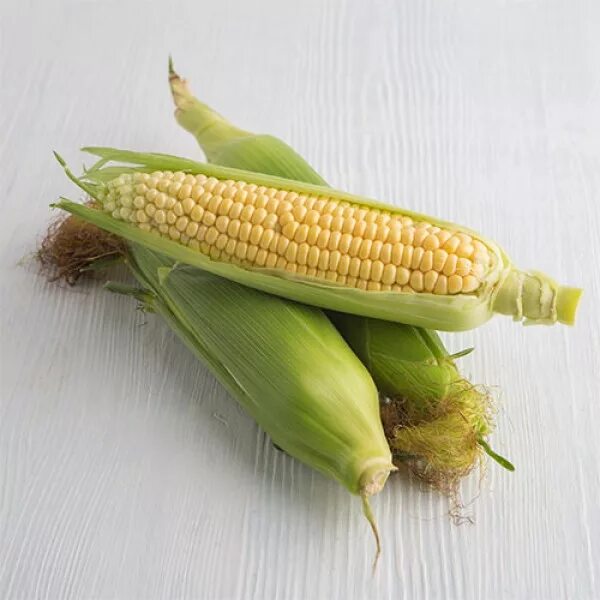 Кормовая кукуруза. Кукуруза свежая. Кукуруза мини. Вареная кукуруза.