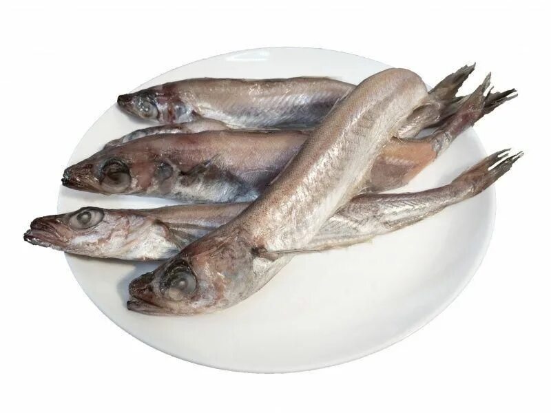 Путассу 23+. Замороженная рыба путассу. Замороженная рыба путассу. Северная путассу. Путассу свежемороженный.