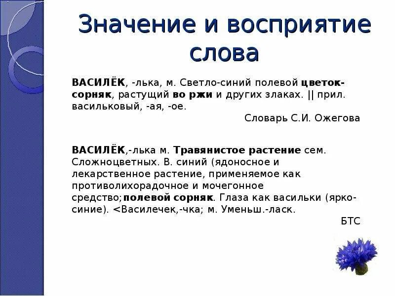 Предложение со словом Василек. Предложение про Василек. Восприятие слов. Значение слова восприятие.