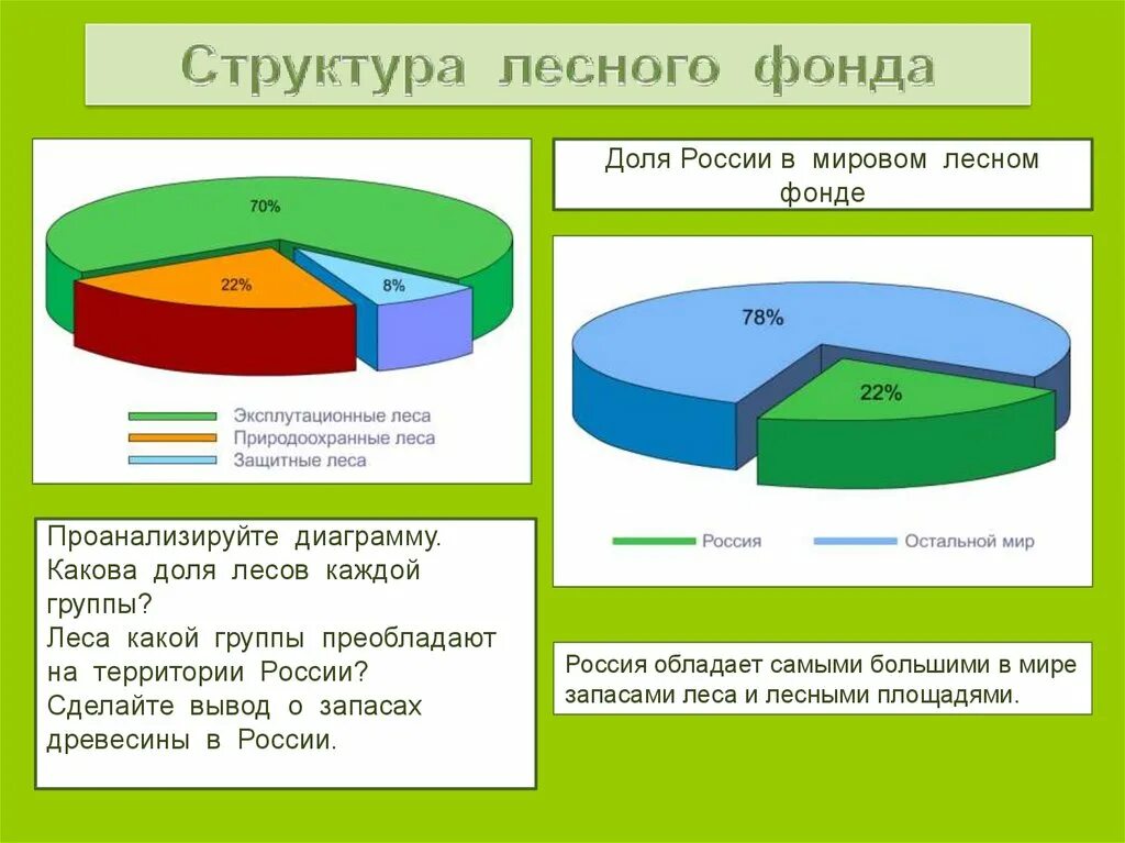 Какими лесными ресурсами богата россия. Диаграмма леса. Структура земель лесного фонда. Диаграмма леса в России. Диаграмма ресурсов России.