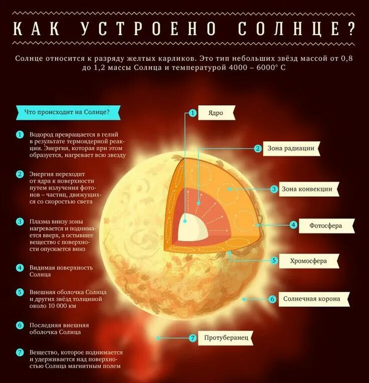 Строение и химический состав солнца. Строение солнца инфографика. Строение солнца с температурами. Солнце инфографика. На поверхность и видит что