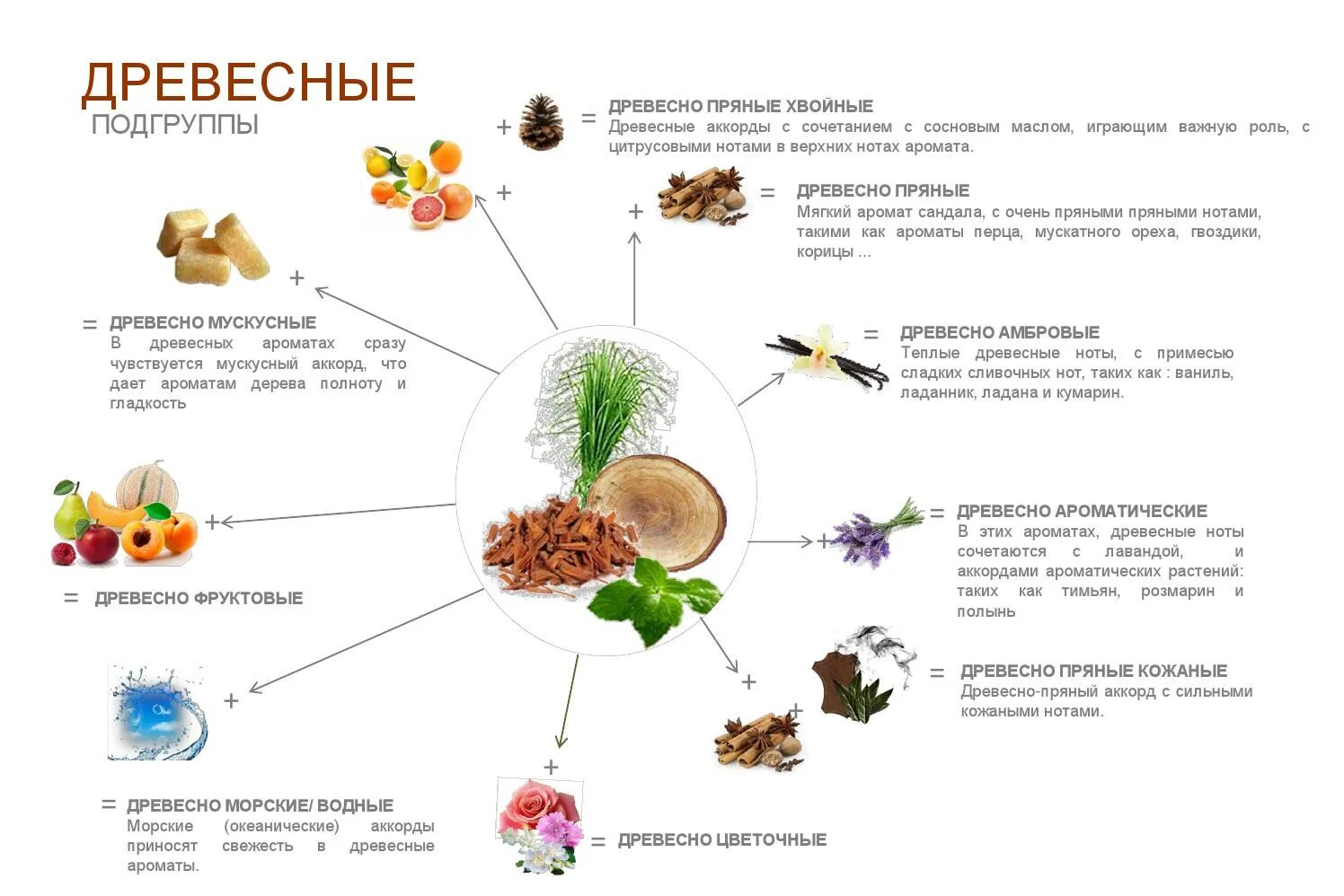 Древесные Ноты аромата. Компоненты древесных ароматов. Какие компоненты входят в семейство ароматов древесные. Древесные Ноты в парфюмерии какие бывают.