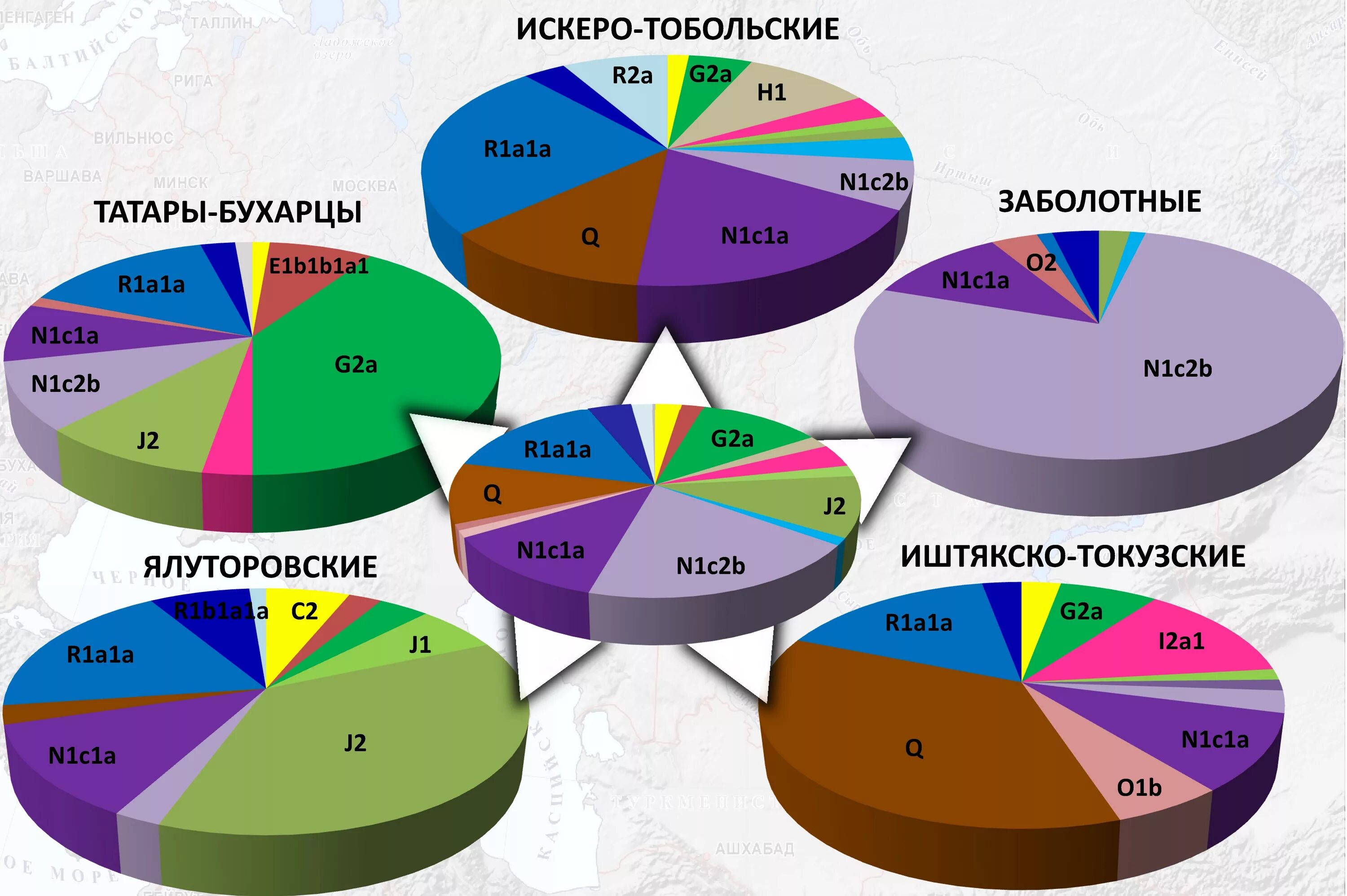 Генетика национальность. ДНК гаплогруппы Казанские татары. Гаплогруппы сибирских татар. Гаплогруппы r1a1. Генетика крымских татар гаплогруппы.