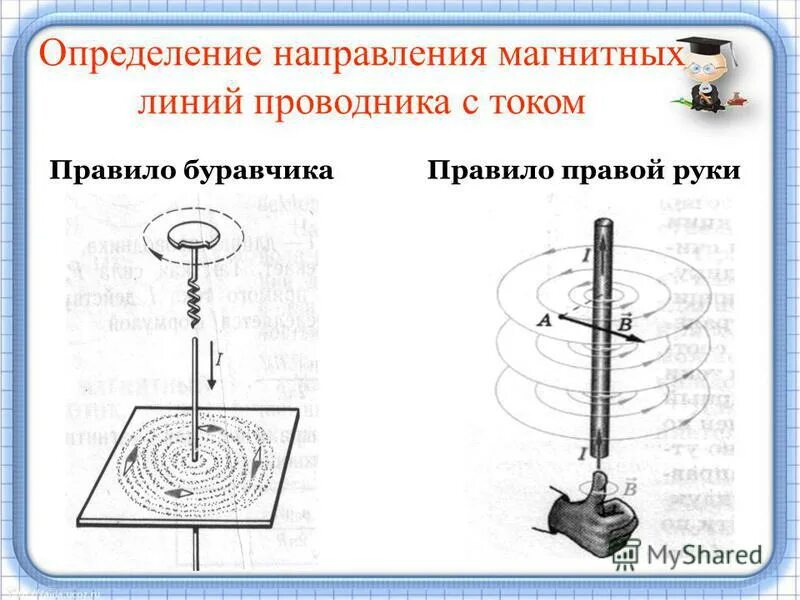 Собака буравчика