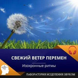 Песня поле свежий ветер