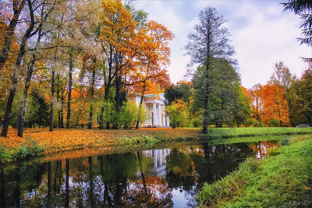тютчев стихи поздняя осень. ранний. позднюю пору. поздняя осень. тютчев стихи про осень.