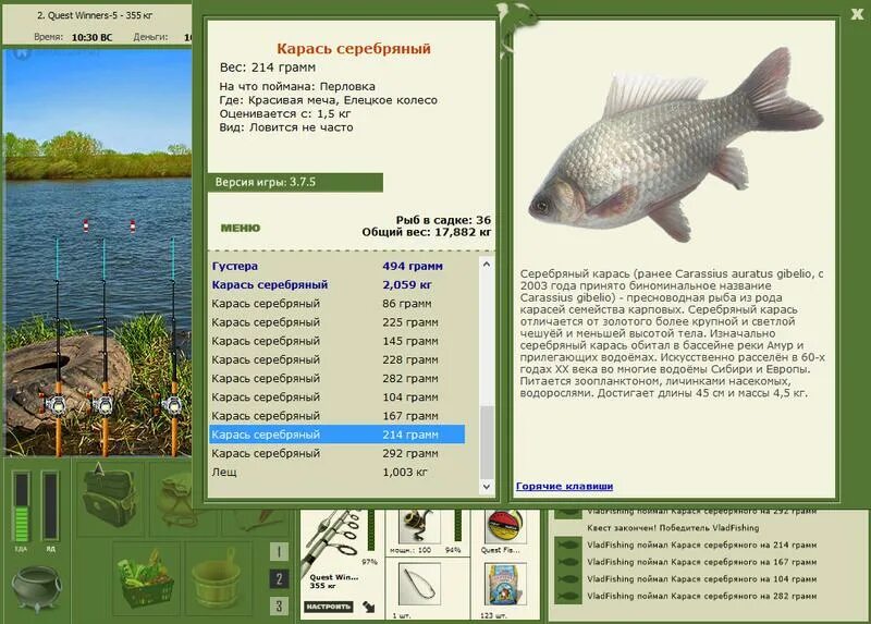 Красивая меча карась серебряный квест. Рр красивая меча карась серебряный. На что ловить карася. Рыбалка ключ. Игра рыбалка ключ