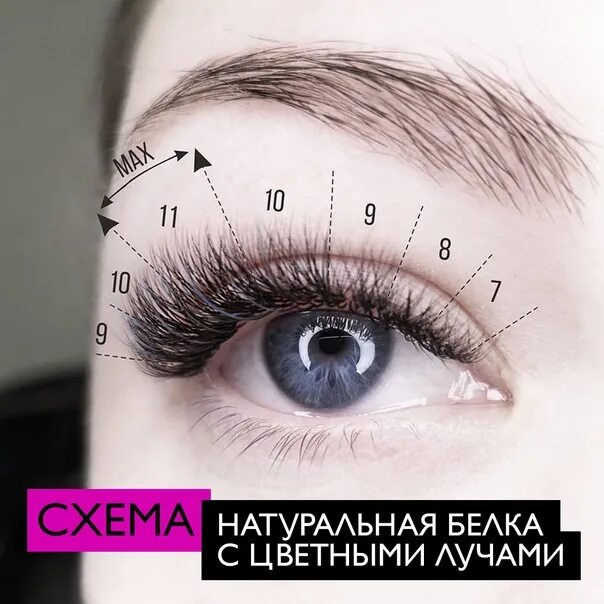 Изгиб белка. Изгиб l беличий эффект. Беличий эффект изгиб м схема. Схемы наращивания ресниц. M изгиб наращивание ресниц схема.