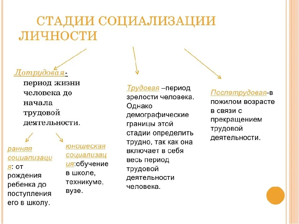 Этапы социальной личности