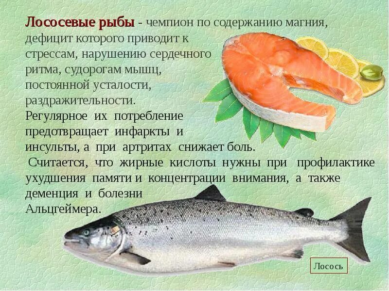 Красная рыба описание