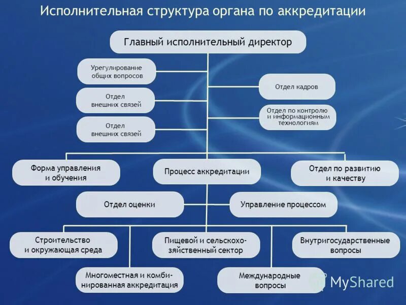 Организационная структура сельскохозяйственного кооператива. Структура компании с исполнительным директором. Функции исполнительного директора компании. Структура компании генеральный директор и исполнительный директор. Структура предприятия с исполнительным директором.