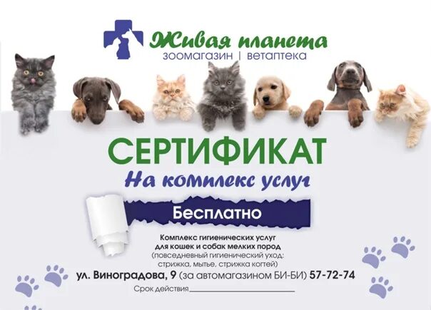 Живая планета часы работы тюмень. Живая планета магазин. Тв каналы живая планета. Живая планета интернет магазин. Эмблема живая планета.