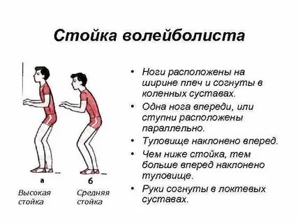 Почему волейболисты высокие