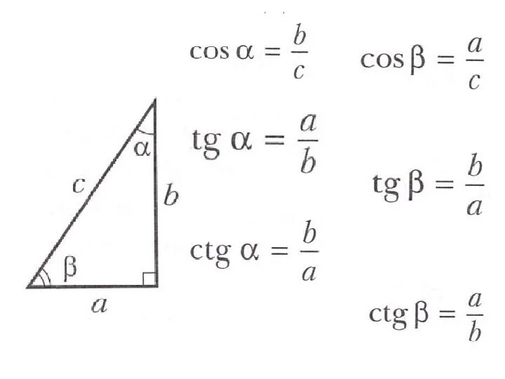 Тригонометрические функции острого угла 8 класс. Тригонометрические функции в прямоугольном треугольнике. Тригонометрические функции угла прямоугольного треугольника. Тригонометрические формулы прямоугольного треугольника. Тригонометрические функции в прямоугольном треугольнике 8 класс