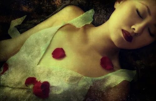 Roses grow. Элиза Дэй.