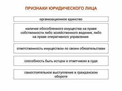Публичные юридические лица пример