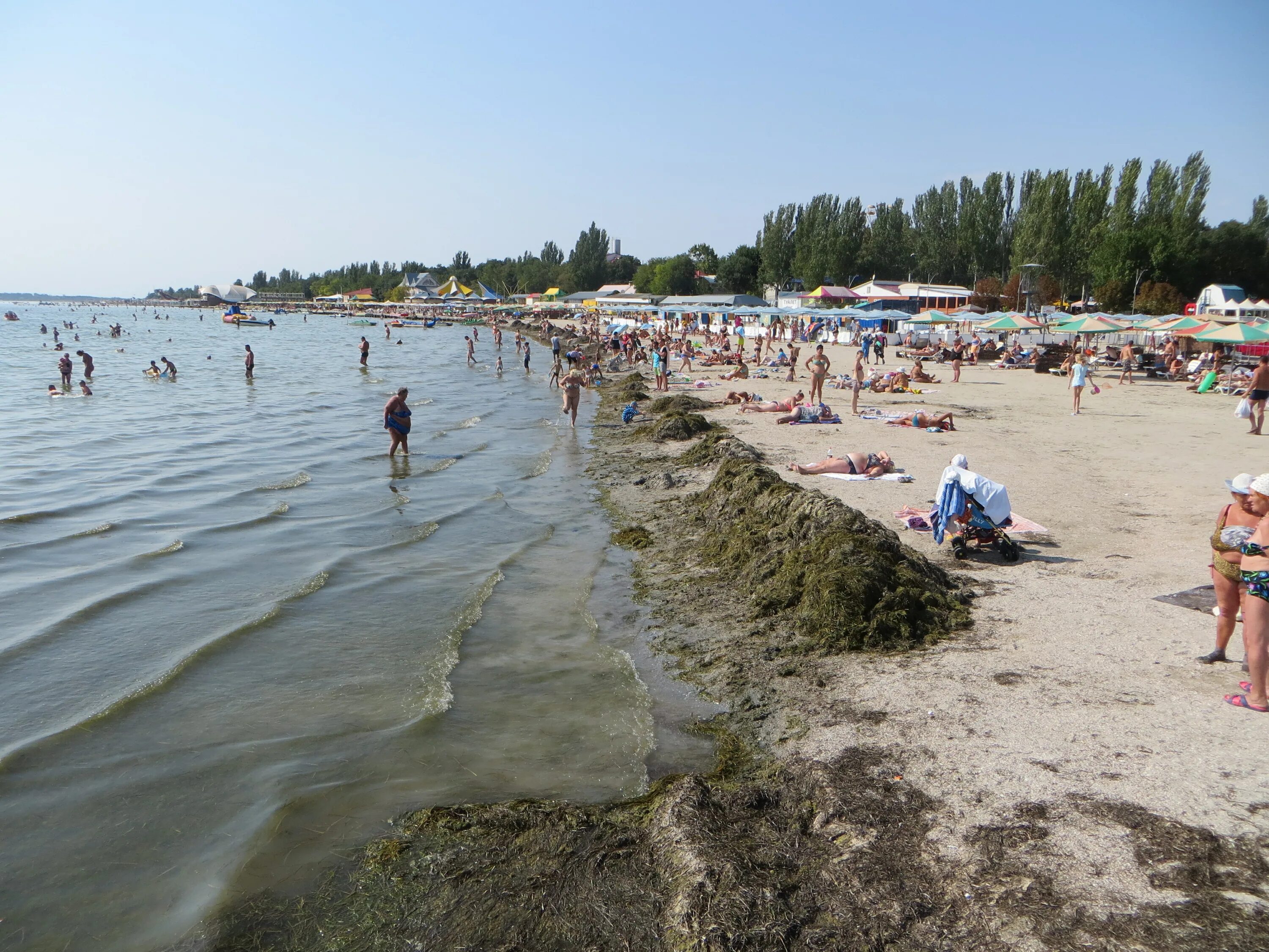 Г Скадовск Херсонской области. Скадовск море. Скадовск Херсонская. Скадовск Херсонская пляж. Новости скадовска херсонской