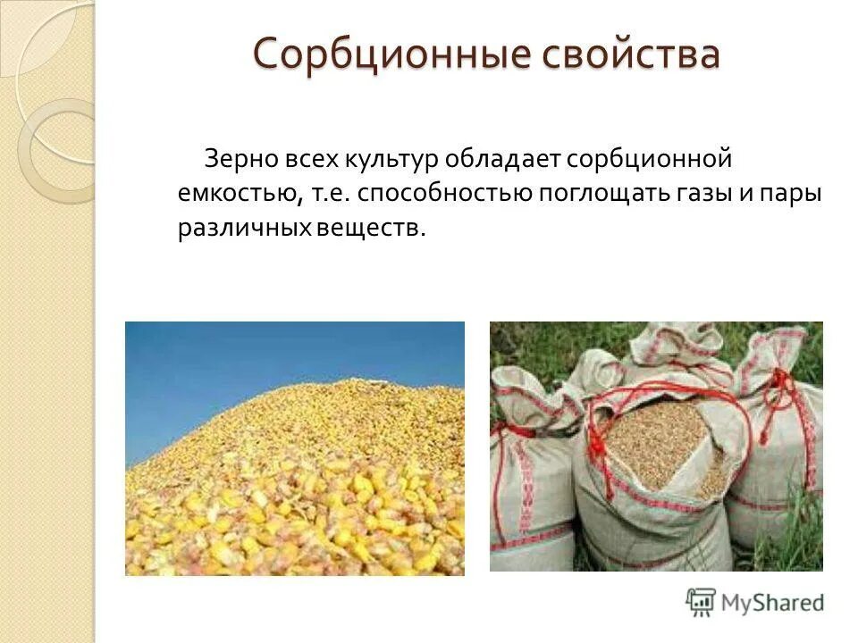 Характеристика зерновых культур. Свойства зерновых грузов. Физические свойства зерновых масс. Характеристика важнейших злаковых культур. Характеристика незлаковых культур.