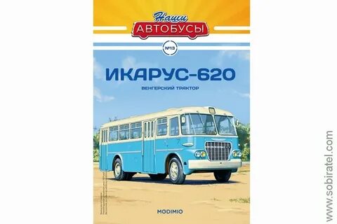 Наши автобусы модимио график насекомые