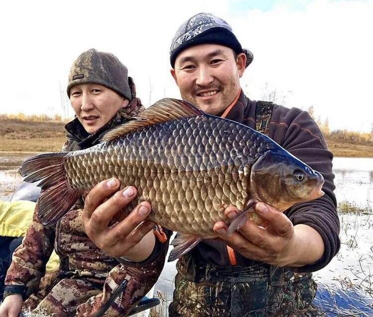 какая рыба в якутии. таймень рыба якутия. карась кобяйский якутия. рыба севера. рыбный рынок в якутске.