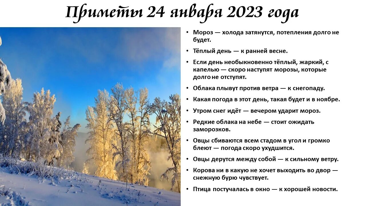 Приметы на 5 апреля 2024 года. Федосеев день 24 января приметы. Народные приметы на завтра. Приметы на сегодняшний день. Приметы января.