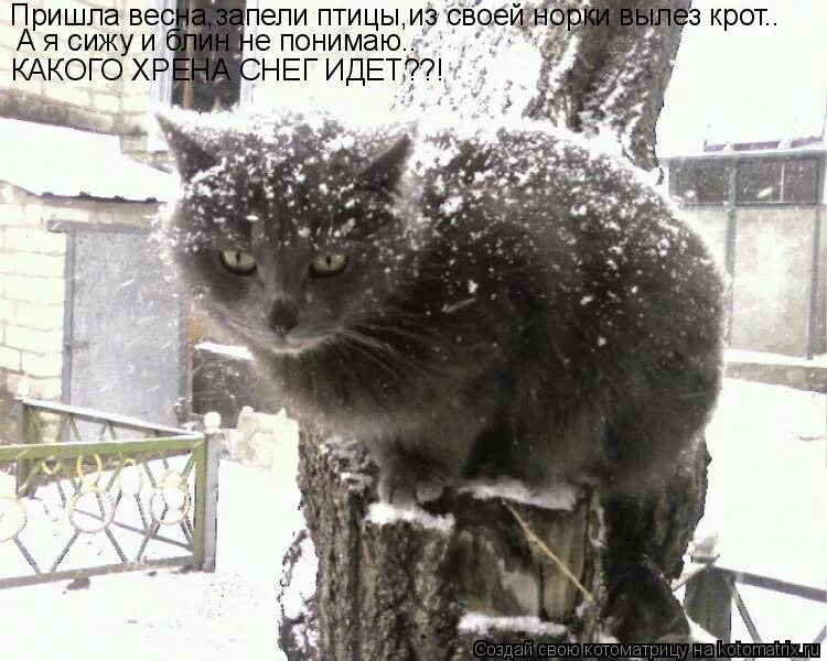 эх снег идет идет. эх снег идет идет. стишок снег идет снег идет. зима снежинки. снег идет и идет.