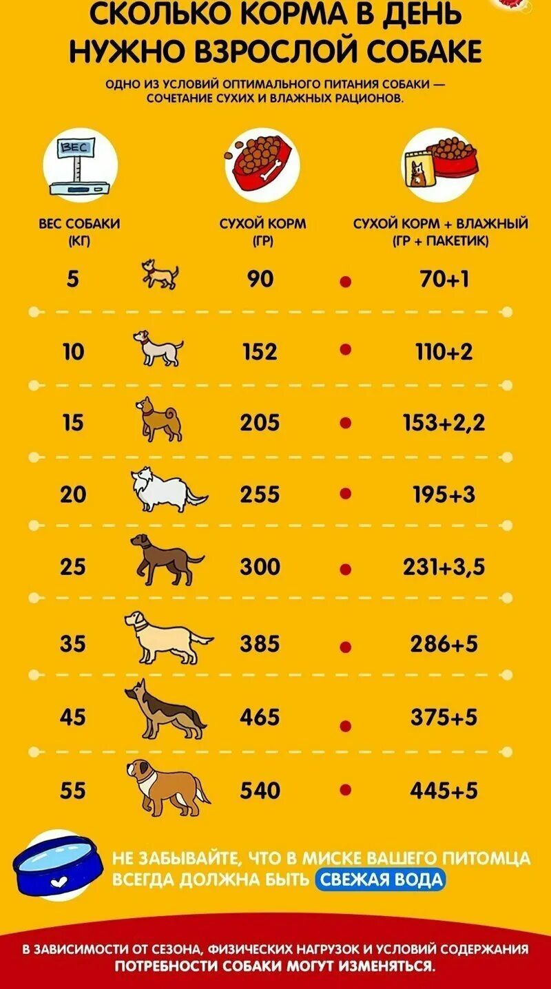 Сколько кормят взрослых собак в день. Норма кормления собак сухим кормом. Норма сухого корма для собак. Количество корма для щенка. Таблица кормления собак.