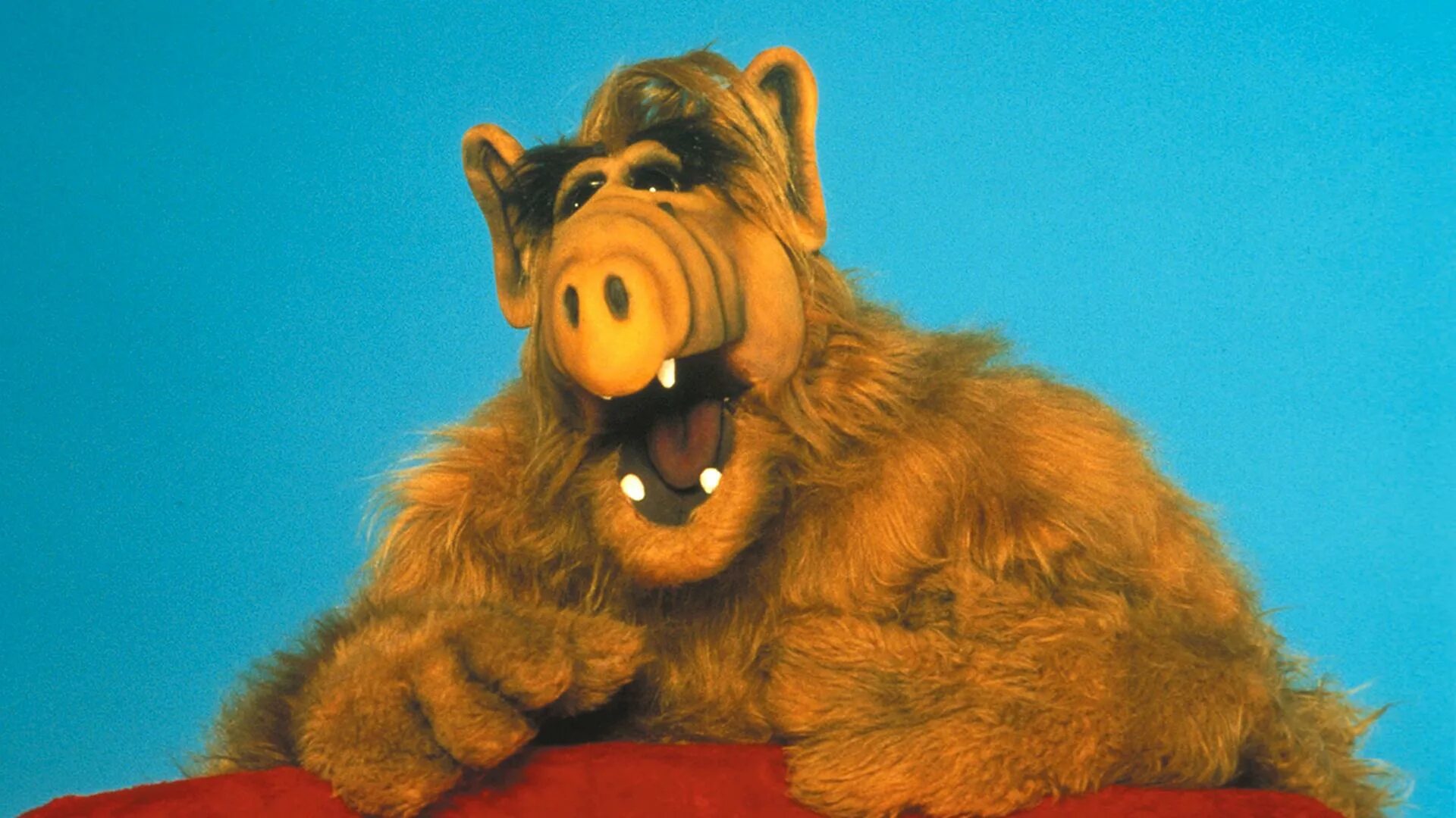 Альф 1 22. Alf (Альф), 1986–1990.