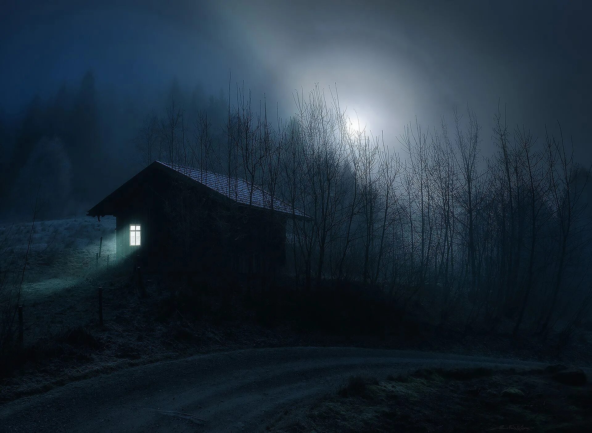 Домик в лесу ночью. Дом в темном лесу. Страшный лес. Мрачный домик в лесу.