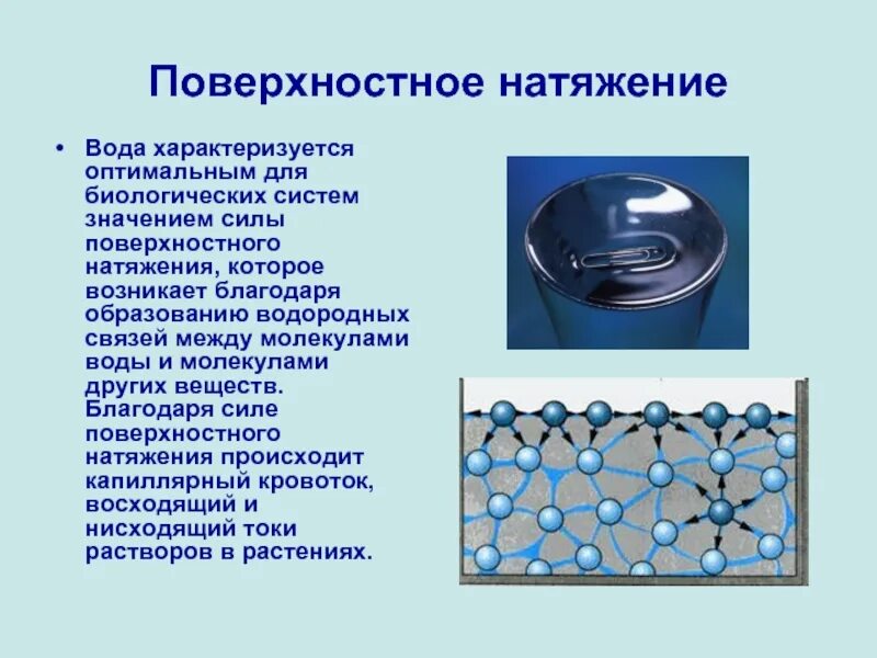 Чем объясняется способность жидкостей сохранять