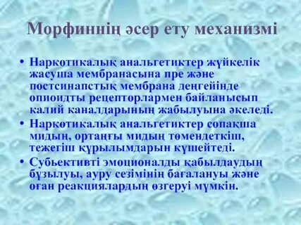 Американдық порно мультфильмдер