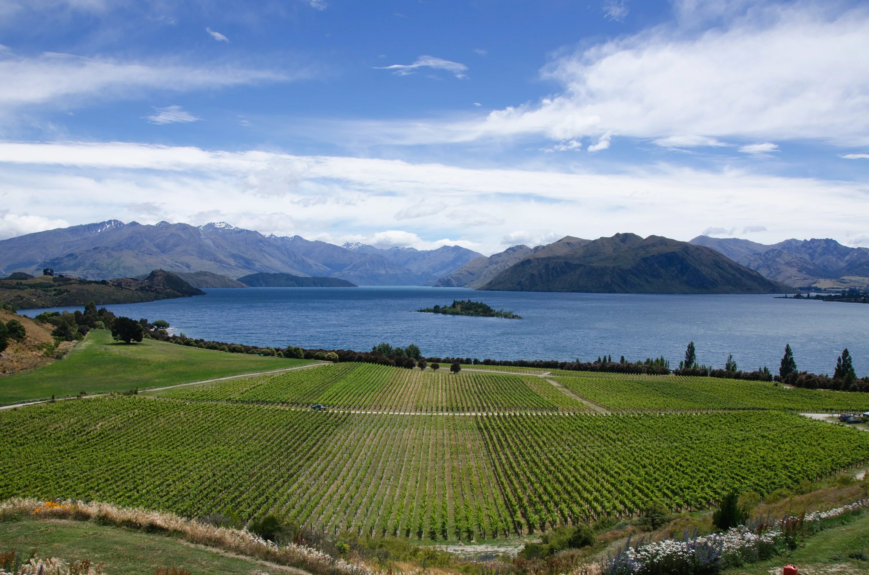 Новозеландия. Новая Зеландия виноградники. Марлборо новая Зеландия. Долины новой Зеландии.