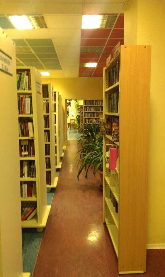 Библиотека на гражданском. Библиотека им. а.с. Грибоедова. Библиотека имени Грибоедова СПБ. Библиотека Грибоедова на садовой. Библиотека на Грибоедова Рязань.