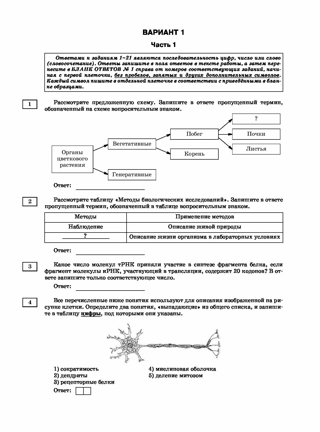 Биология ЕГЭ 2021. ЕГЭ биология материалы для подготовки. Тренировочные варианты ЕГЭ биология. ЕГЭ биология 2021 варианты. Тренировочный вариант егэ биология 2024 neofamily